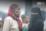Mültecilerin Temsili: Rohingya Müslümanları